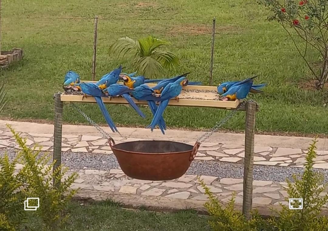 Alto Paraíso de Goiás Pousada Canto Dos Passaros מראה חיצוני תמונה