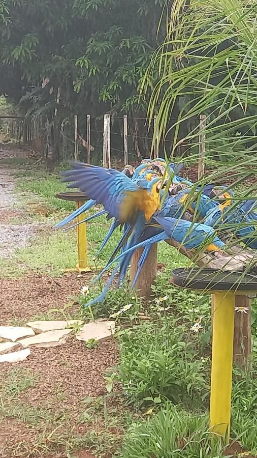 Alto Paraíso de Goiás Pousada Canto Dos Passaros מראה חיצוני תמונה